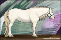 Horse Color:Buckskin Roan Pearl and Buckskin Roan Pearl
