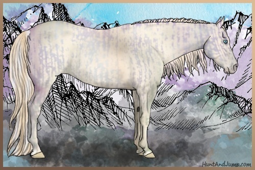 Horse Color:Silver Buckskin Roan Pearl Dun  and Perlino Roan 