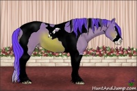 Horse Color:Watercolor Bay Splash Tobiano Appaloosa