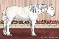 Horse Color:White Spotted Silver Sable Champagne Dun Splash Appaloosa Rabicano and Silver Sable Champagne Dun Splash Frame Appaloosa Rabicano