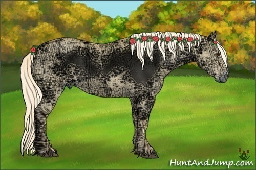 Horse Color:Palomino Ice Dun 