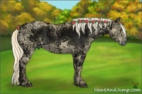 Horse Color:Palomino Ice Dun