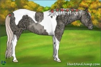 Horse Color:Chocolate Palomino Ice Pearl Dun Tobiano