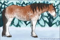 Horse Color:White Spotted Bay Splash  and White Spotted Bay Splash 