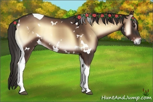 Horse Color:White Spotted Liver Red Onyx Tobiano