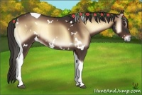 Horse Color:White Spotted Liver Red Onyx Tobiano 
