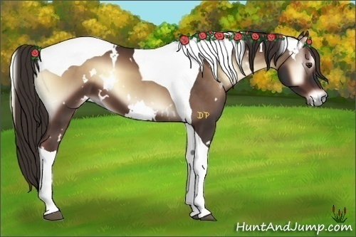 Horse Color:White Spotted Liver Red Onyx Tobiano