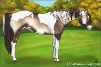 Horse Color:White Spotted Liver Red Onyx Tobiano