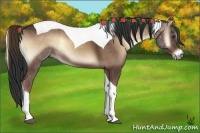 Horse Color:Liver Red Onyx Tobiano 