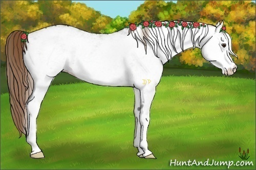 Horse Color:White Spotted Liver Chestnut Rabicano 