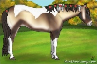 Horse Color:Liver Red Onyx Tobiano