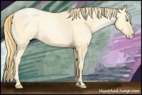 Horse Color:Buckskin Roan Pearl and Buckskin Roan Pearl