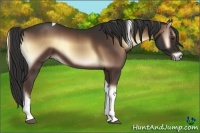 Horse Color:Liver Red Onyx Tobiano 