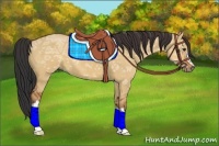 Horse Color:Bay Ice Dun 