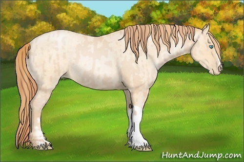 Horse Color:Buckskin Roan Pearl and Buckskin Roan Pearl