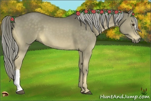 Horse Color:Chocolate Palomino