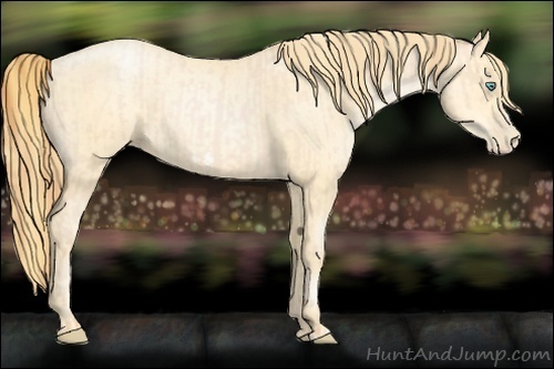 Horse Color:Buckskin Roan Pearl and Buckskin Roan Pearl Frame