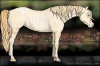 Horse Color:Buckskin Roan Pearl  and Buckskin Roan Pearl Frame 