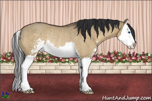 Horse Color:Brown Roan Dun Sabino Splash Rabicano 