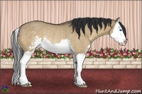 Horse Color:Brown Roan Dun Sabino Splash Rabicano