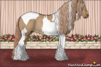 Horse Color:Red Dun Tobiano Rabicano
