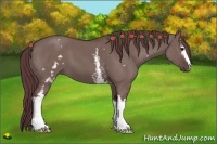 Horse Color:White Spotted Chocolate Grullo 