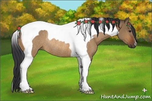Horse Color:Bay Dun Tobiano Rabicano