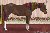 Horse Color:Gray Painted Chestnut 