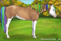 Horse Color:Gray Painted Gold Champagne Splash 