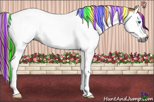 Horse Color:Gray Painted Red Dun Splash Tobiano 