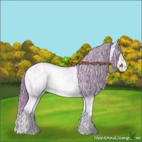 Horse Color:Watercolor Red Onyx Ice Appaloosa