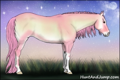 Horse Color:Watercolor Liver Red Dun Onyx 