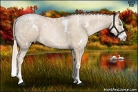 Horse Color:White Spotted Palomino Ice Pearl Splash