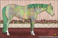 Horse Color:Nacre Watercolor Amber Champagne 