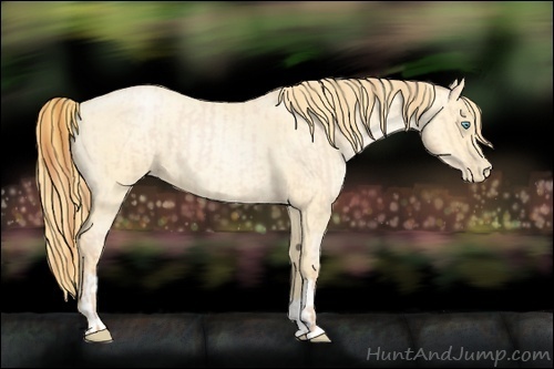 Horse Color:Buckskin Roan Pearl and Buckskin Roan Pearl