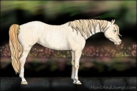 Horse Color:Buckskin Roan Pearl and Buckskin Roan Pearl