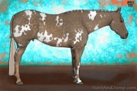 Horse Color:White Spotted Chocolate Palomino