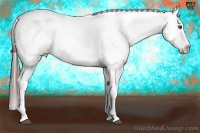 Horse Color:Liver Chestnut Tobiano Blanket 