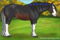 Horse Color:Brown Splash