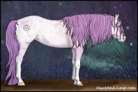 Horse Color:Watercolor Buckskin Ice Pearl Onyx 