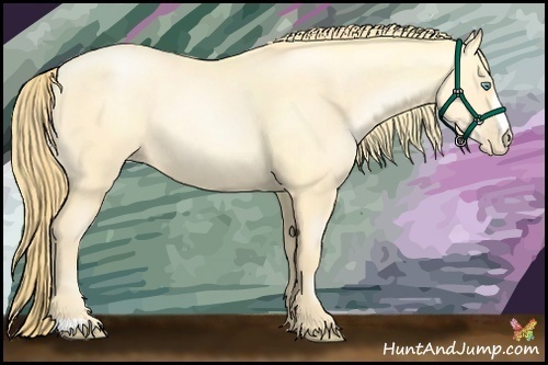 Horse Color:Buckskin Roan Pearl and Buckskin Roan Pearl Rabicano