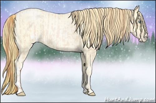 Horse Color:Buckskin Roan Pearl and Buckskin Roan Pearl