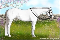 Horse Color:White Spotted Liver Chestnut Splash 