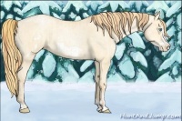 Horse Color:Buckskin Roan Pearl and Buckskin Roan Pearl Frame