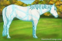 Horse Color:Thunderstruck Silver Sable Cream Champagne Pearl Appaloosa 