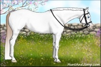 Horse Color:White Spotted Liver Chestnut Splash