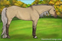 Horse Color:Silver Brown Dun