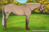 Horse Color:Silver Bay Dun 