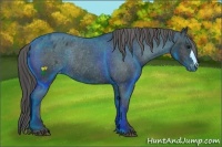 Horse Color:Black Varnish Rabicano 