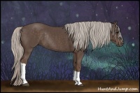 Horse Color:Silver Black Rabicano 